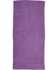 Picture of Winning Spirit-TW04A-Terry Velour Beach Towel