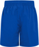 Picture of LW Reid-5T36SH-Stretch Microfibre Shorts