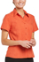 Picture of Corporate Reflection-6301S19-Climate Smart Ladies Semi Fit Short Sleeve shirt