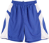 Picture of Winning Spirit Kids Slamdunk Shorts (SS23K)