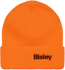 Picture of Bisley Workwear Bisley Beanie (BBEAN55)